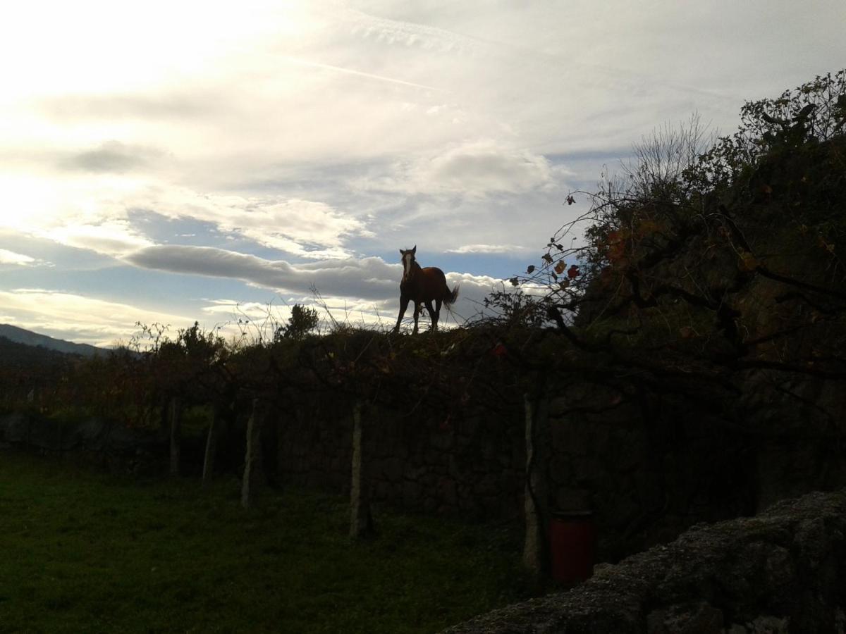Casinha Da Horta Villa Soajo Buitenkant foto