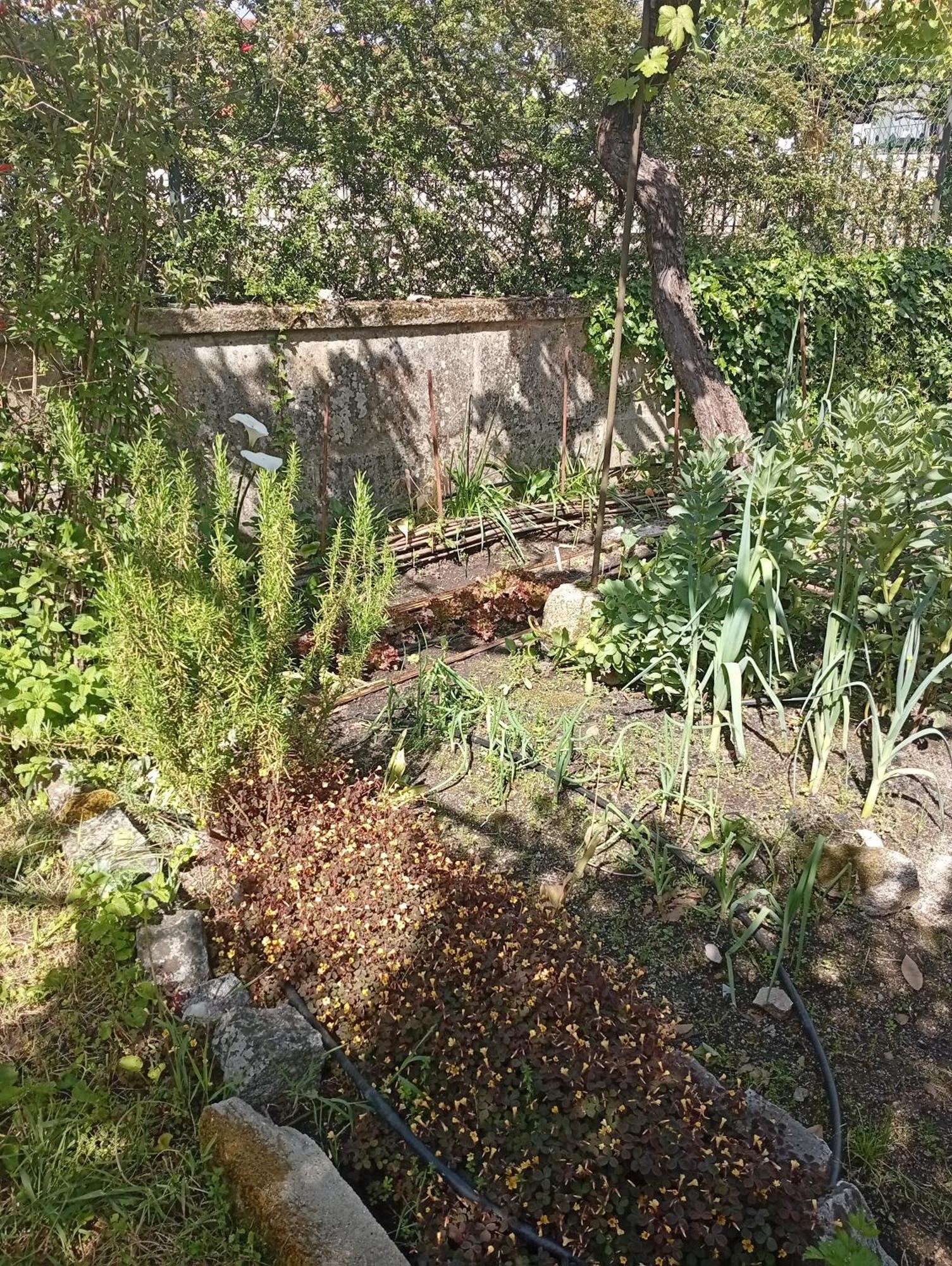 Casinha Da Horta Villa Soajo Buitenkant foto